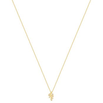 Collier plaqué or jaune feuille et zirconias45cm