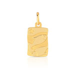 Pendentif zodiaque or 750 jaune Poissons