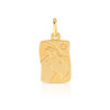Pendentif zodiaque or 750 jaune Capricorne