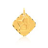 Médaille or 750 jaune