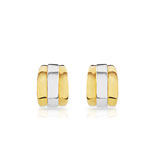 Boucles d&rsquo;oreilles plaqu&eacute; or 2 tons