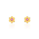 Boucles d&rsquo;oreilles plaqu&eacute; or cristal
