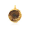 Pendentif or 375 jaune fossile