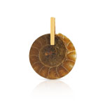 Pendentif or 375 jaune fossile