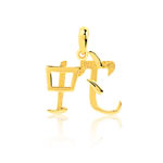 Pendentif zodiaque chinois or 375 jaune Serpent