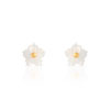 Boucles d'oreilles or 375 jaune nacre