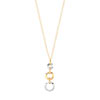 Collier 2 ors 750