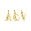 Pendentif or 750 jaune personnalisable