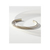 Bracelet FOSSIL acier doré inoxydable rigide - vue VD2