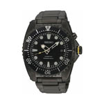 Montre Seiko homme titane bracelet titane