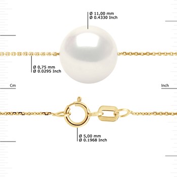 Collier Perle d'Eau Douce Blanche Ronde 11-12 mm Chaîne Forçat Or Jaune 18 Carats