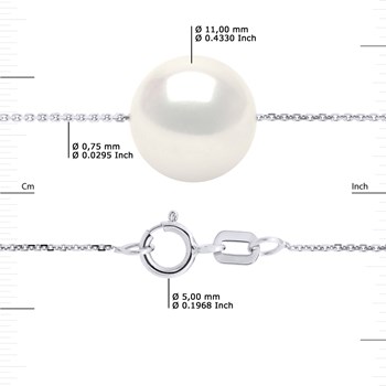 Collier Perle d'Eau Douce Blanche Ronde 11-12 mm Chaîne Forçat Or Blanc 18 Carats