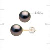 Clous d'Oreilles Perles de Tahiti Rondes 8-9 mm imperdables Or Jaune - vue V3