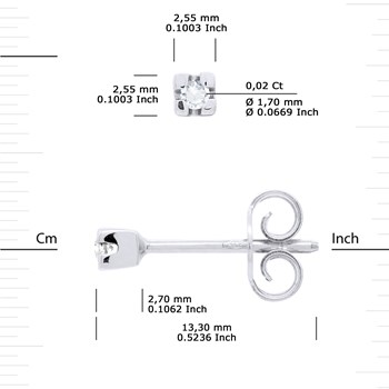 Clous d'Oreilles Diamant 0,040 Cts Or Blanc