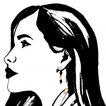 SC Crystal steel earrings