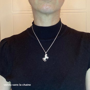Pendentif cheval sauvage tendance - Argent massif