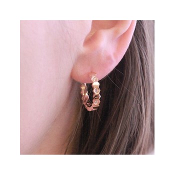 Curved Earrings - Rose Gold and Crystal