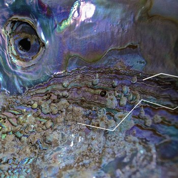 Boucles Météorites