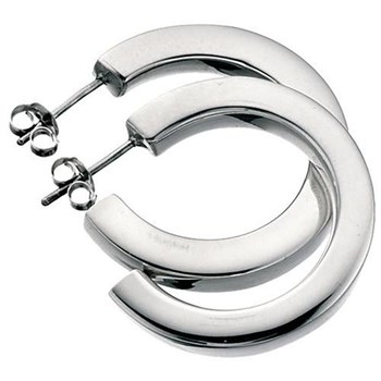 Silver earring 925/1000