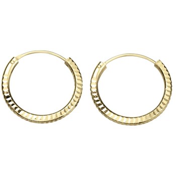 Verguld zilveren 925/1000 hoepel oorbel