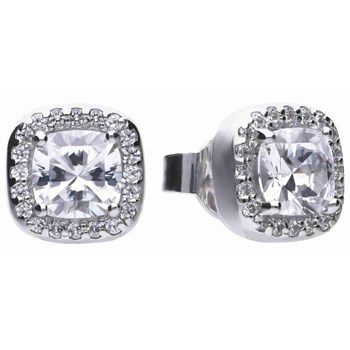 Oorbel in zilver 925/1000