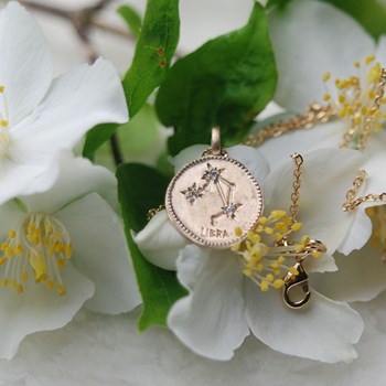 Hanger dierenriemteken BALANCE - Bijoux Privés Discovery