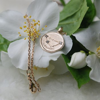 Pendant zodiac sign CAPRICORN - Bijoux Privés Discovery