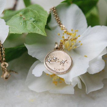 Pendant zodiac sign TAUREAU - Bijoux Privés Discovery