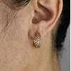 Boucles d'oreilles créole couronne épi branche de laurier Plaqué or 750 3 microns - vue V2