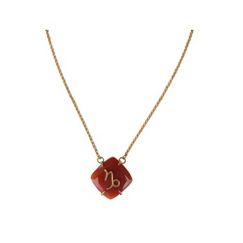 Capricorn astro necklace