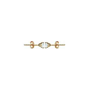 Boucles d'oreilles Brillaxis puces 5 mm plaqué or