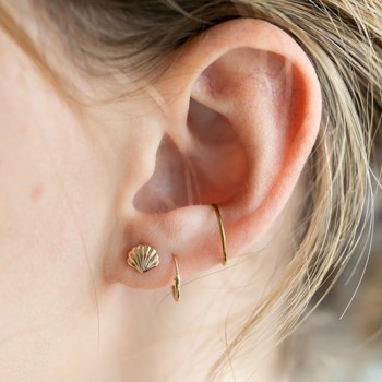 Gold-plated Earrings Small Shell Fleas