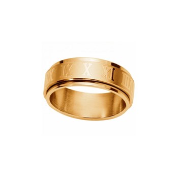 Alliance Antoine en Acier 316L