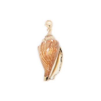 Charm's Coquillage Melina