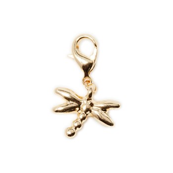 Charm's Gally