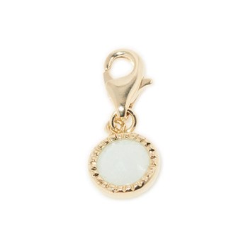 Charm's Asia Amazonite