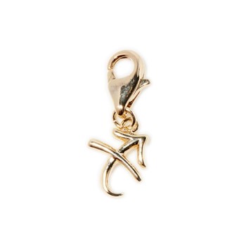 Charm's Artemis Sagittarius