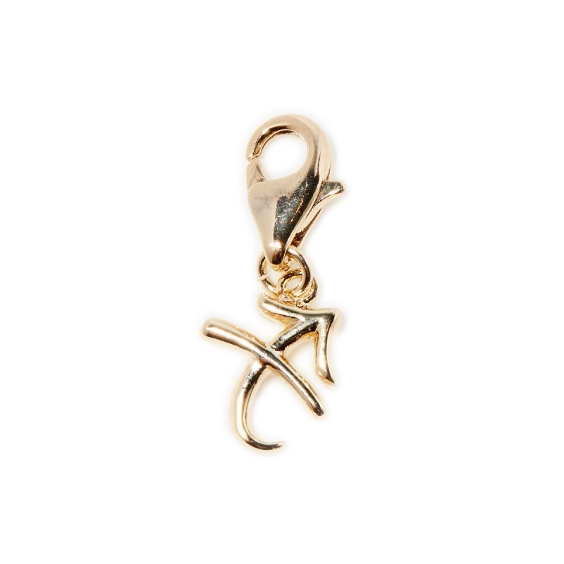 Charm's Artémis Sagittaire