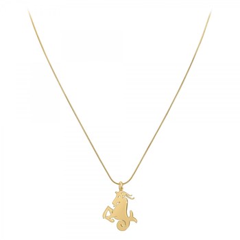 Bohemian Capricorn SC astrology necklace in finely gilded steel