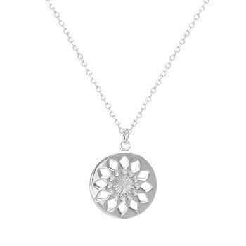 Collier en acier argenté