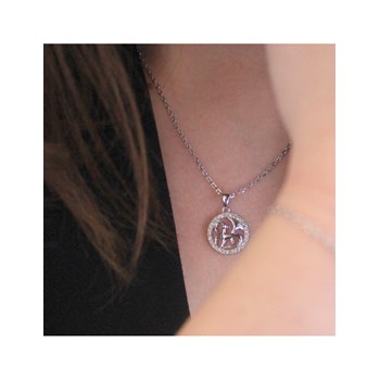 Zodiac Capricorn Pendant - Silver and Crystal