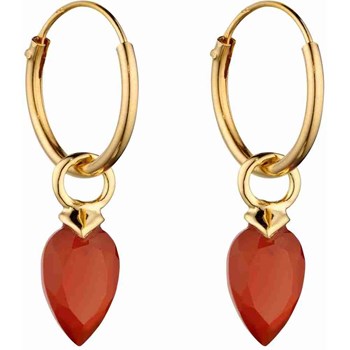 Vergulde oorbel in zilver 925/1000