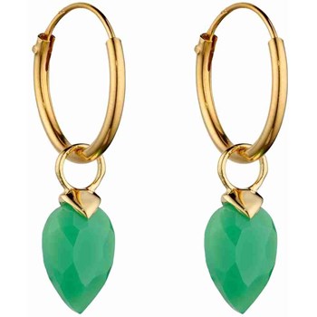 Vergulde oorbel in zilver 925/1000