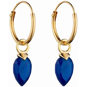 Vergulde oorbel in zilver 925/1000