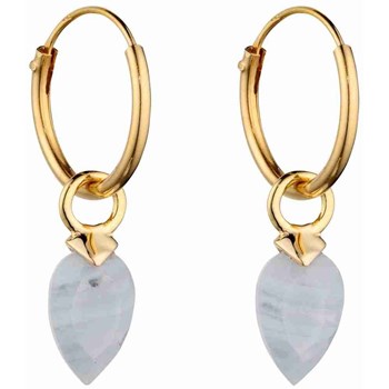 Vergulde oorbel in zilver 925/1000