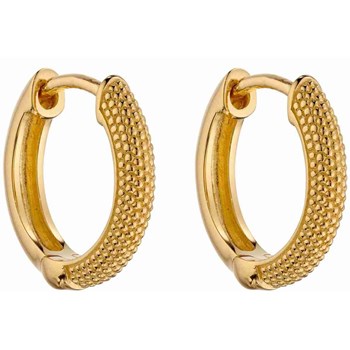 Gold-plated earrings in silver 925/1000