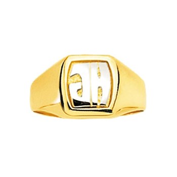 Chevalière homme - Or 18 Carats