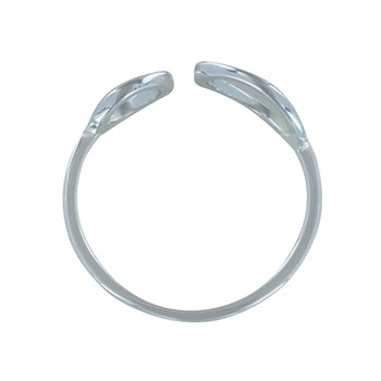 Zilveren Ring Twee Ringen