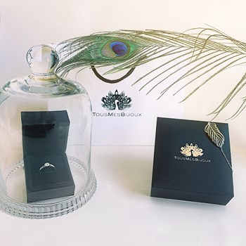 Damesoorbellen - Zirkoniumoxide - 925 Sterling Zilver