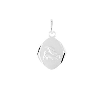 Pendentif mixte - Argent 925 - Signe Astrologique - Capricorne